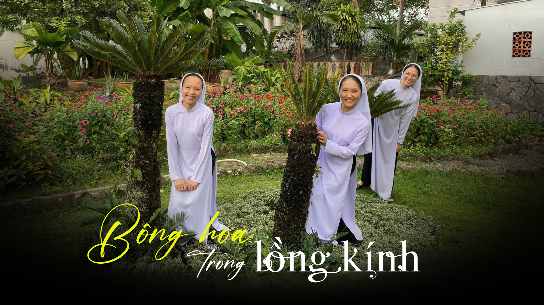 Bông hoa trong lồng kính
